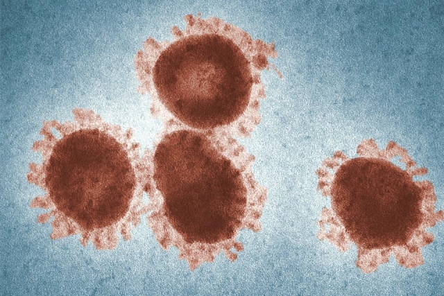 cdc-L0jLHqF7Q94-unsplash